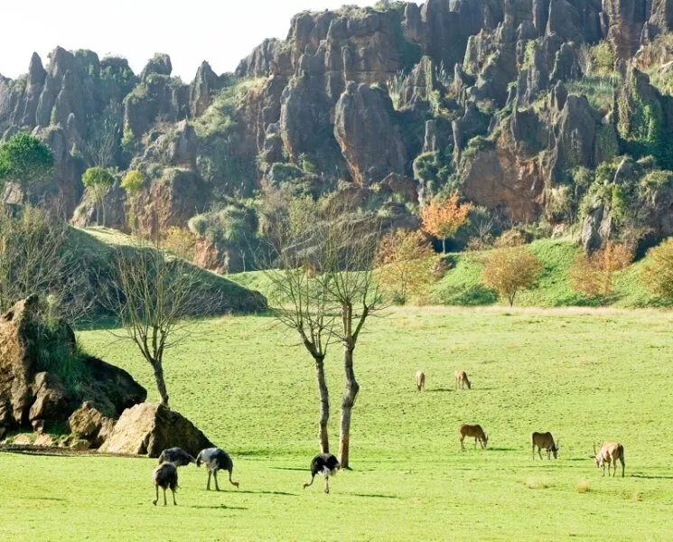 Paisaje del Parque de la NAturaleza de Cabarceno. (Foto: Gobierno de Cantabria)