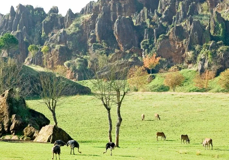 Paisaje del Parque de la NAturaleza de Cabarceno. (Foto: Gobierno de Cantabria)