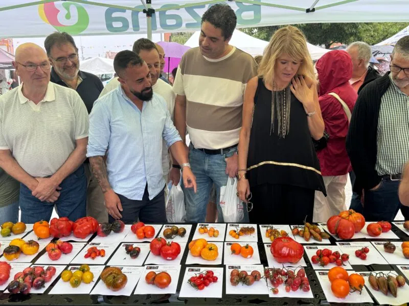 Noticias de Cantabria | El Cántabro | El Festival del Tomate de Bezana, todo un "éxito de participación"