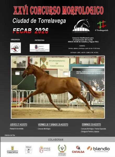 Noticias de Cantabria | El Cántabro | El XXVI Concurso Morfológico Ciudad de Torrelavega FECAB reunirá a 125 caballos de 64 ganaderías
