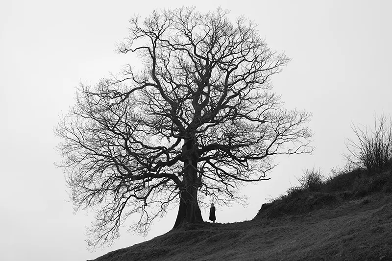 Imagen de una de las fotografias incluidas en la exposición 'Todo árbol tiene su raíz' que puede verse en la Casa de Cultura de Torrelavega. (Foto: Gobierno de Cantabria)