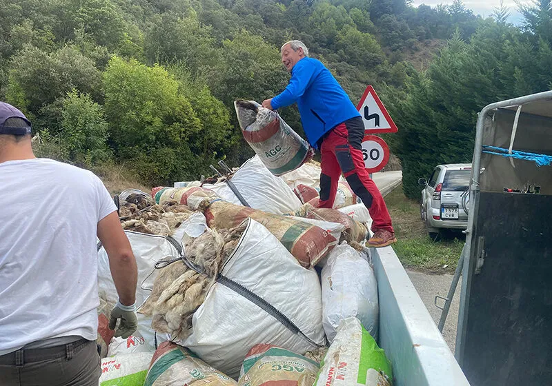 La recogida ha sido una iniciativa impulsada por las Consejerías de Medio Ambiente y Ganadería y la Fundación para la Conservación del Quebrantahuesos (FCQ) (FOTO: Fundación para la Conservación del Quebrantahuesos)