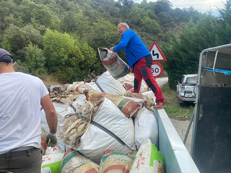 La recogida ha sido una iniciativa impulsada por las Consejerías de Medio Ambiente y Ganadería y la Fundación para la Conservación del Quebrantahuesos (FCQ) (FOTO: Fundación para la Conservación del Quebrantahuesos)