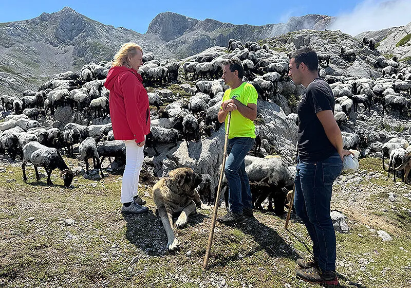 Desarrollo Rural convoca ayudas para la conservación y promoción de las razas autóctonas de ganado ovino y caprino