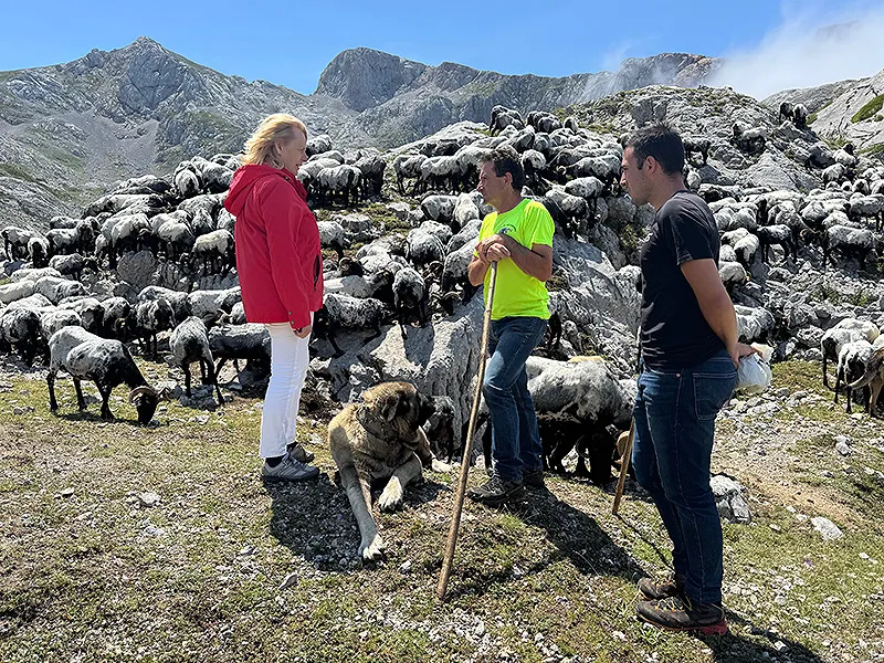 Archivo. María Jesús Susinos visitando una explotación ovina en Bejes (Foto: Gobierno de Cantabria)