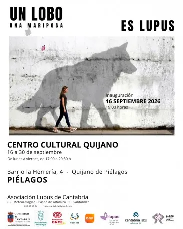  La exposición itinerante ‘La mariposa y el lobo’ de la Asociación Lupus de Cantabria recala desde este miércoles en el Centro Cultural Quijano
