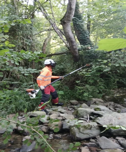 Noticias de Cantabria | El Cántabro | La Confederación Hidrográfica actúa en 3,5 kilómetros del río Ruahermosa en Rasines