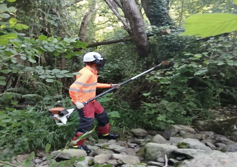  La Confederación Hidrográfica actúa en 3,5 kilómetros del río Ruahermosa en Rasines