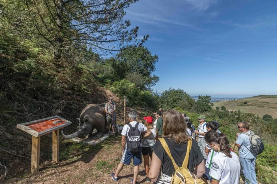Noticias de Cantabria | El Cántabro | Aún quedan plazas para participar este fin de semana en dos nuevas experiencias de Torrelavega Slow