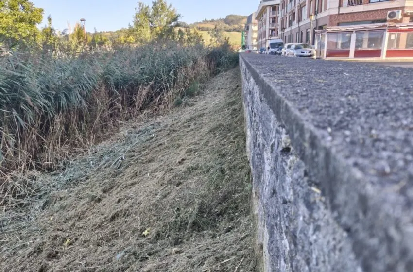  Colindres inicia los trabajos de desbroce y limpieza del Regato Madre