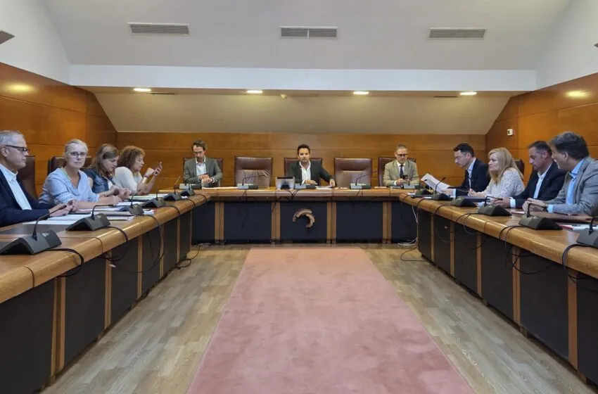El Parlamento acuerda ocho comparecencias para abordar la reforma de la Ley de Derechos y Servicios Sociales