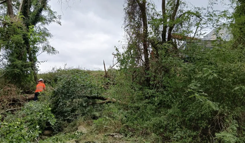 Noticias de Cantabria | El Cántabro | La Confederación Hidrográfica mejora 3,2 kilómetros del río Carranza en Ramales