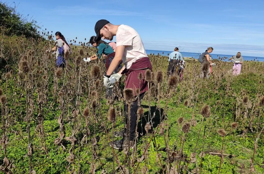  Santander Capital Natural propone dos nuevas actividades para acercar la biodiversidad a la ciudadanía