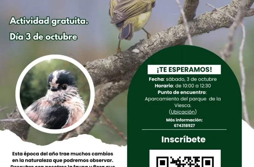Noticias de Cantabria | El Cántabro | Una ruta por La Viesca para conocer sus aves y su biodiversidad