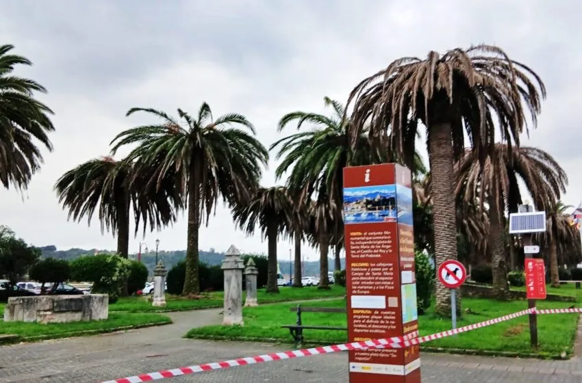  Cerrado el acceso al palmeral por seguridad