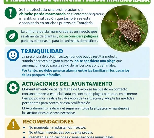  El Ayuntamiento adopta medidas preventivas ante la presencia de chinche asiática en diferentes parques y zonas del municipio