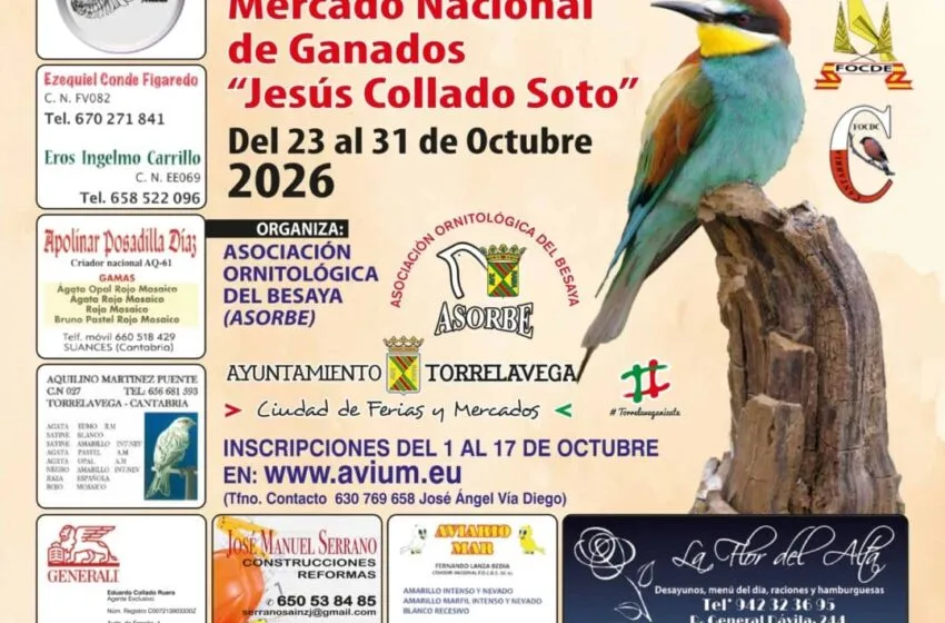 Noticias de Cantabria | El Cántabro | El XXIV Concurso Exposición Ornitológica “Ciudad del Besaya” reunirá a 2.013 aves en Torrelavega