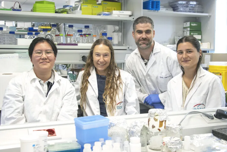 Noticias de Cantabria | El Cántabro | Un contraste de hierro detecta y frena fibrosis cardiaca
