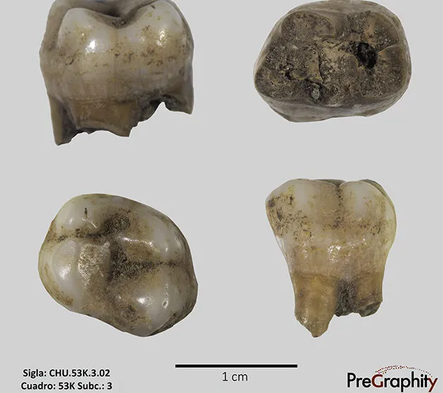 Noticias de Cantabria | El Cántabro | Cantabria revela claves genéticas de la última glaciación