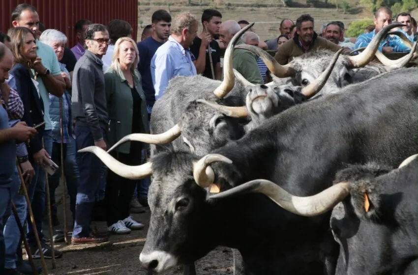 Imagen de archivo de la consejera y el director general de Ganadería en la fincade Sotama. (Foto: Gobierno de Cantabria).