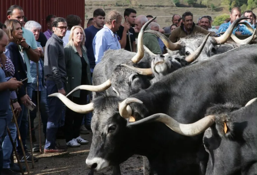 Imagen de archivo de la consejera y el director general de Ganadería en la fincade Sotama. (Foto: Gobierno de Cantabria).