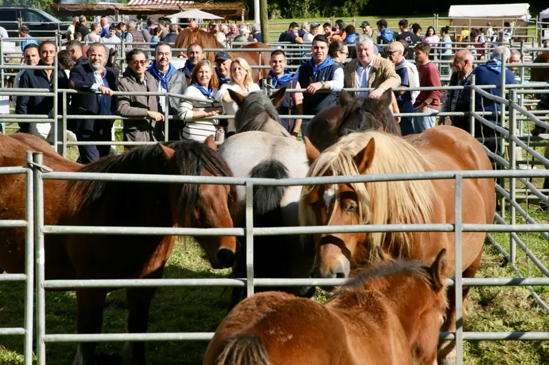 Los consejeros asisten a la tradicional Feria de San Lucas, en Hoznayo. (Foto: Nacho Romero).