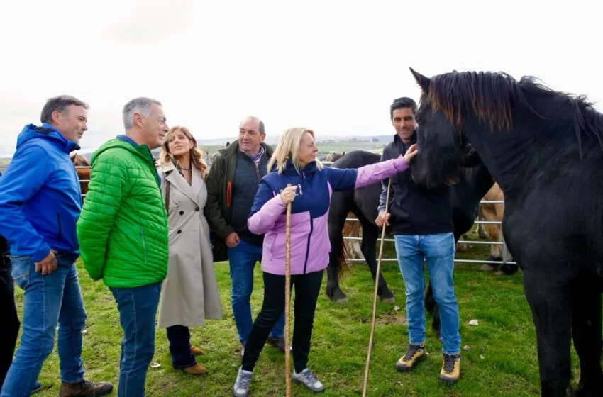  Susinos asiste a la XXXVII Feria Ganadera de Campoo de Enmedio que ha contado con más de 1.000 animales