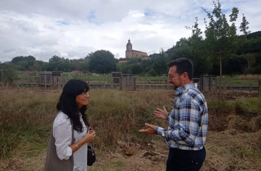  Colindres impartirá en noviembre dos cursos para la aplicación de productos fitosanitarios y la renovación del carné para el uso de biocidas e insecticidas