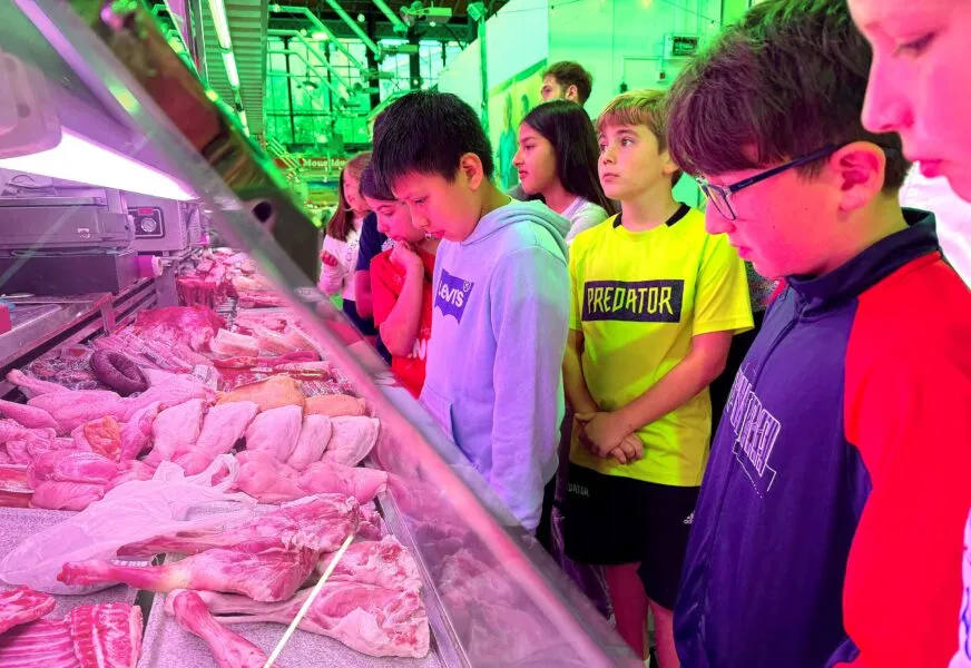 Noticias de Cantabria | El Cántabro | El aula saludable de La ‘Cocina de la Plaza’ regresa con alumnos del Quinta Porrúa