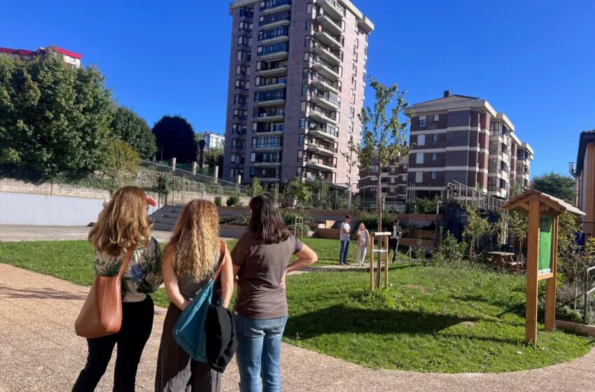 Noticias de Cantabria | El Cántabro | Dos colegios de Zamora visitan el CEIP Gerardo Diego para conocer su patio naturalizado