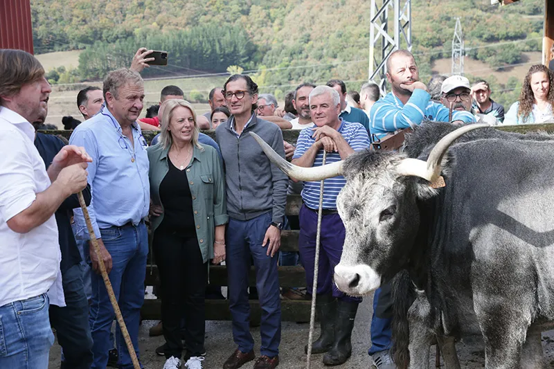 Noticias de Cantabria | El Cántabro | El Gobierno subastará 49 reses de razas autóctonas Tudanca y Pasiega para impulsar la mejora genética del sector